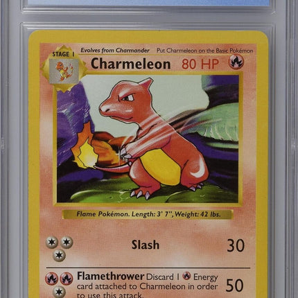 1999 Base Set (Shadowless) #24/102 Charmeleon CGC 5.5
