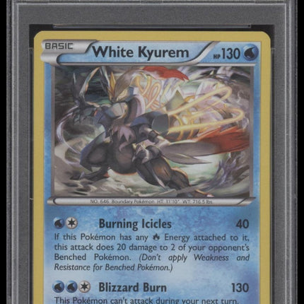 White Kyurem-Holo 2016 Pokemon Xy Fates Collide #21 Fates Collide PSA 10
