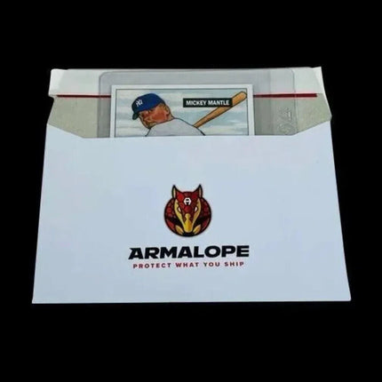 eBay Standard Envelope Shipping Envelope ARMALOPE