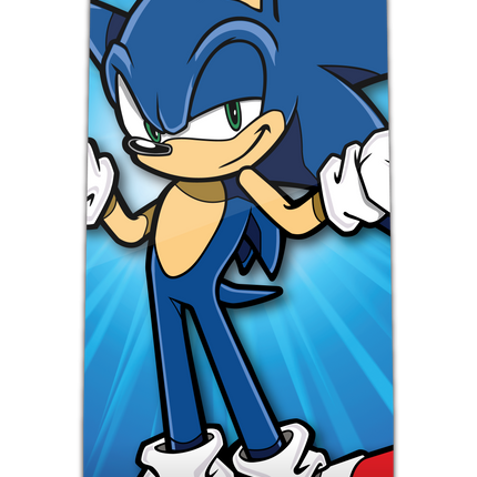 FiGPiN Classic:  Sonic The Hedgehog - Sonic (581)
