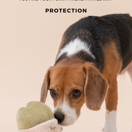 PARADISE PET TOY- Fritillaria