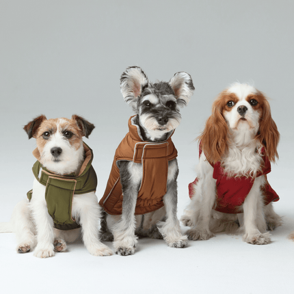 Reversible Dog Vest Jacket - Green Brown