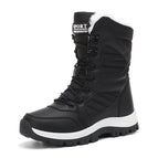 Black / 36