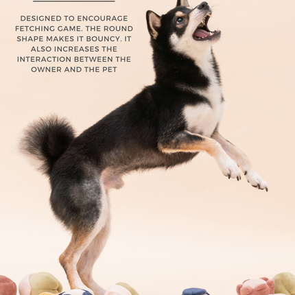 PARADISE PET TOY - CUCURBITA