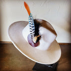Pheasant Feather w/ Black Fluffy Feather