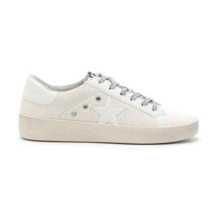 Lace Up, Star, Low Top Sneakers