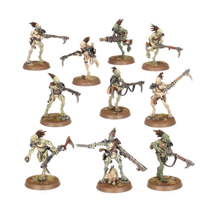 Warhammer 40,000: T'au Empire - Kroot Carnivores
