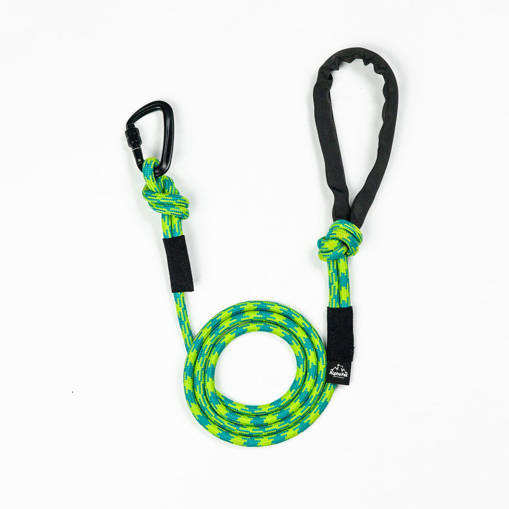 10MM Adventure Kernmantle Rope Dog Leash