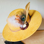 Peacock Feather with Gold Feather