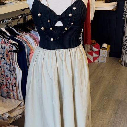 Black & Tan Dress