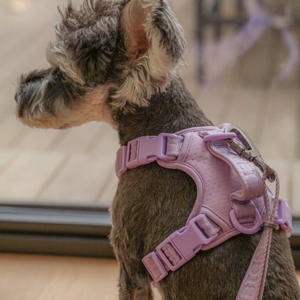 NO PULL ACTIVE  PET HARNESS - MINT PURPLE
