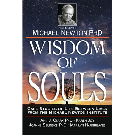 Wisdom of Souls: Case Studies of Life Between Lives from the Michael Newton Institute