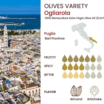 Basso 1904 Extra Virgin Olive Oil Limited Edition Gift Set (5 x 100 ml)