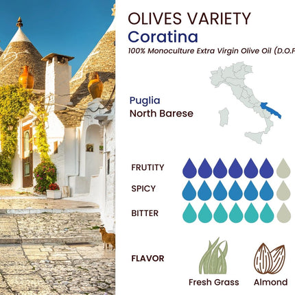 Basso 1904 Extra Virgin Olive Oil Limited Edition Gift Set (5 x 100 ml)