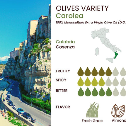 Basso 1904 Extra Virgin Olive Oil Limited Edition Gift Set (5 x 100 ml)