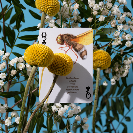 Eastern Forest Playing Cards