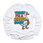 White Long Sleeve Tee / 2T Kids