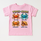 Pink Short Sleeve Tee / 2T Kids
