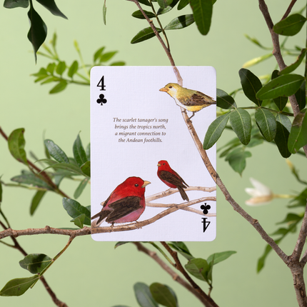 Eastern Forest Playing Cards