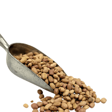 Bolita Beans