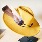 Large Turkey Feather with White and Gold Feather