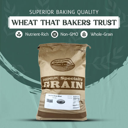 Wheat Berries, Bronze Chief (Red)