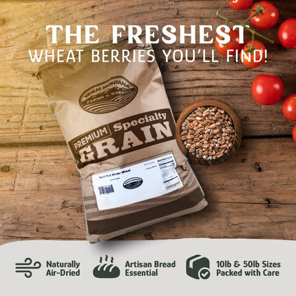 Wheat Berries, Bronze Chief (Red)