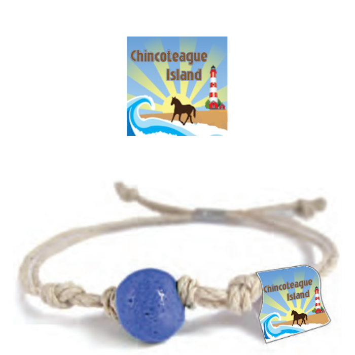 Chincoteague Island, VA