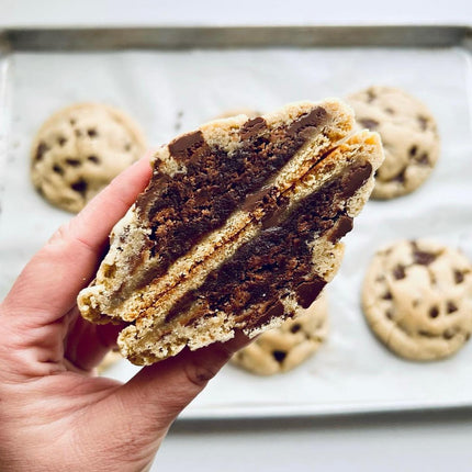 Chocolate Chip Brownie
