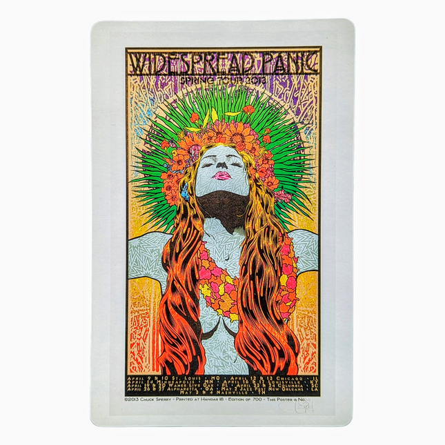 Chuck Sperry "Widespread Panic" 2013 Art Card