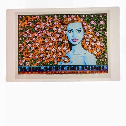 Chuck Sperry Widespread Panic, Washington D.C. 2019 Art Card