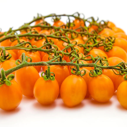 Così Com’è, Italian Yellow Datterino Tomatoes Unpeeled in Own Juice – 12.3 oz (350 g)