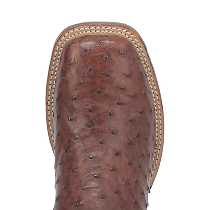Dan Post Alamosa (Chocolate/Brown) - Men's Ostrich Skin Leather Cowboy Boots