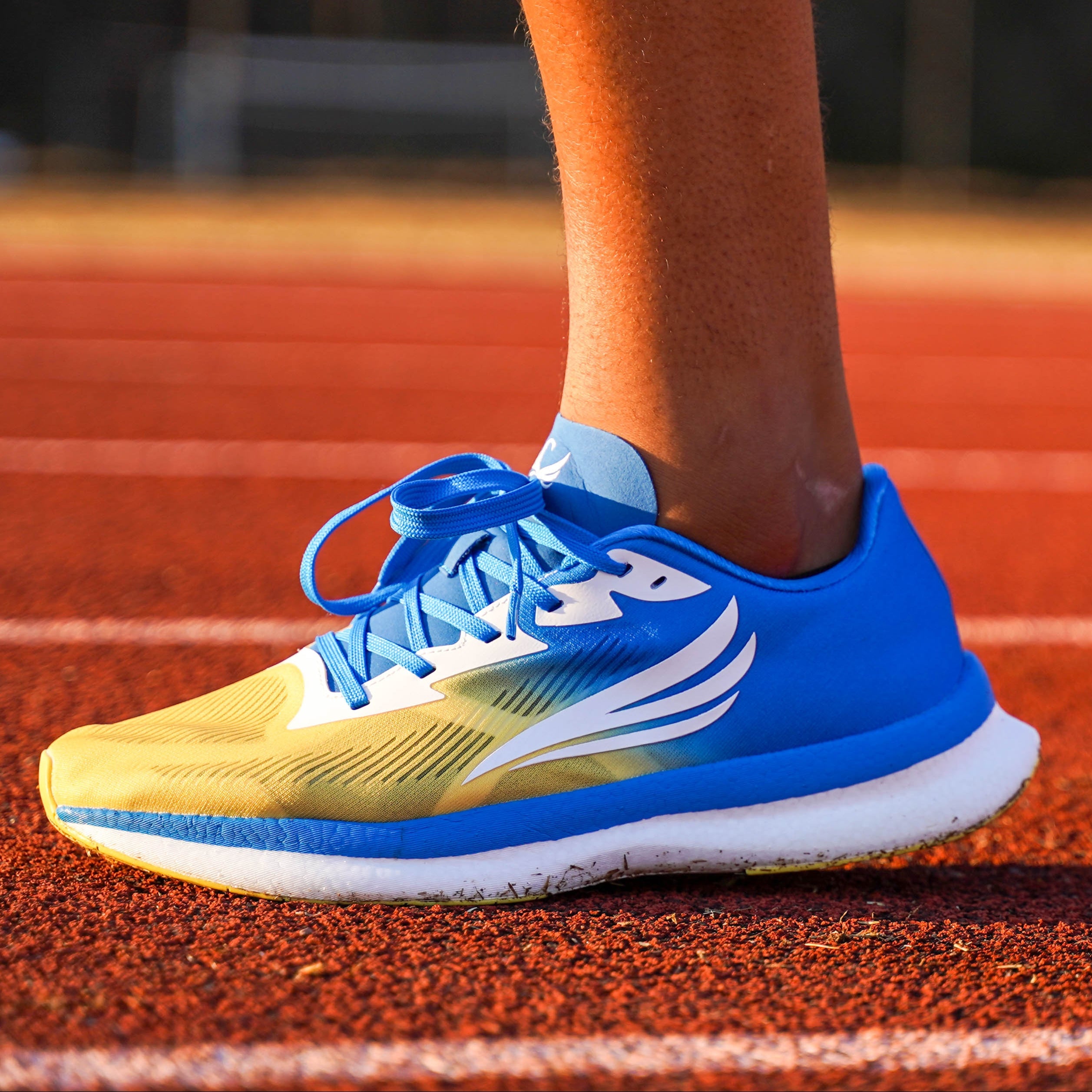 EQUUS Blue Men Running Shoe