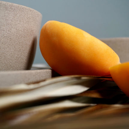 The Dinnerware Set - Gray/White