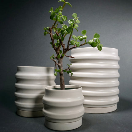 Primera Planters