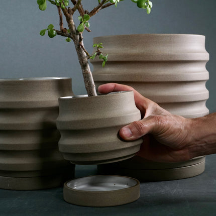Primera Planters