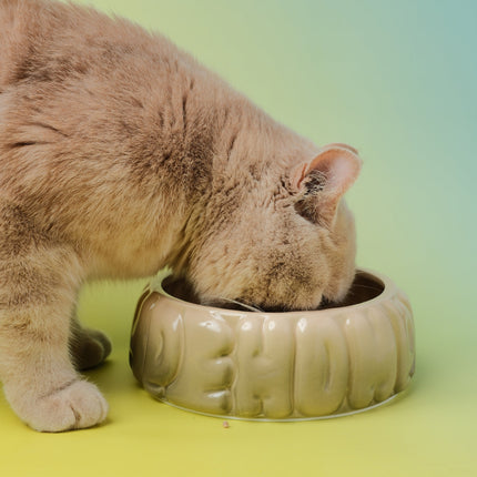 Puff Pet Bowl - Gradient Olive