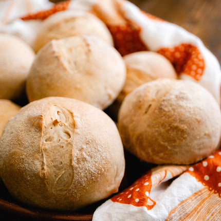 Otis | Sourdough Starter