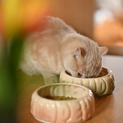 Puff Pet Bowl - Gradient Olive