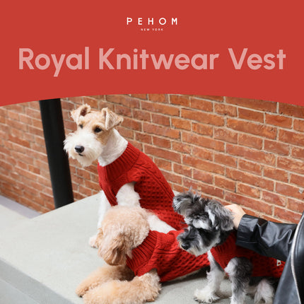 Pet Sweater Vest - Red