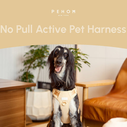 NO PULL ACTIVE  PET HARNESS - APRICOT