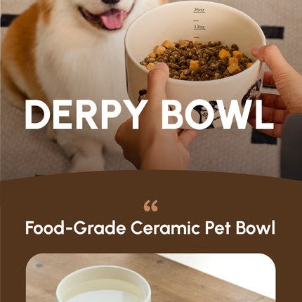 DERPY BOWL