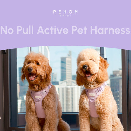 NO PULL ACTIVE  PET HARNESS - MINT PURPLE