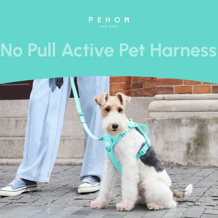 NO PULL ACTIVE  PET HARNESS - MINT GREEN
