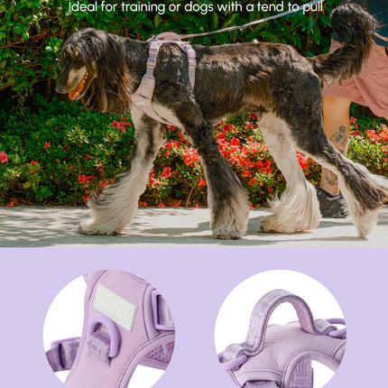 NO PULL ACTIVE  PET HARNESS - MINT PURPLE