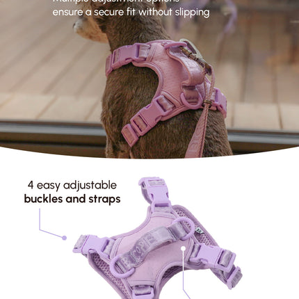 NO PULL ACTIVE  PET HARNESS - MINT PURPLE