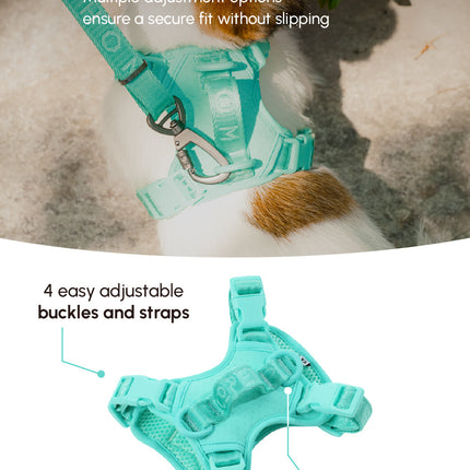 NO PULL ACTIVE  PET HARNESS - MINT GREEN
