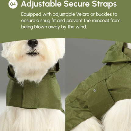 Capsule Raincoat - Beige