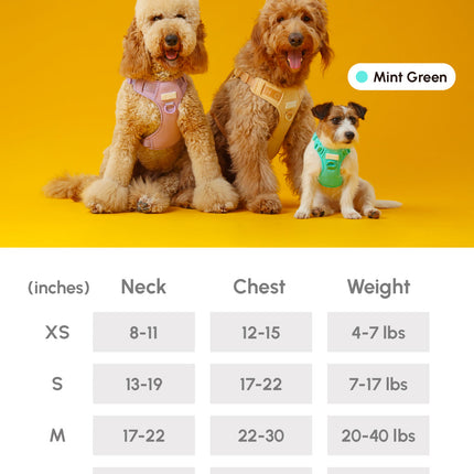 NO PULL ACTIVE  PET HARNESS - MINT GREEN